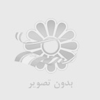 چرا کسب‌وکارها به خدمات حرفه‌ای اینستاگرام نیاز دارند؟